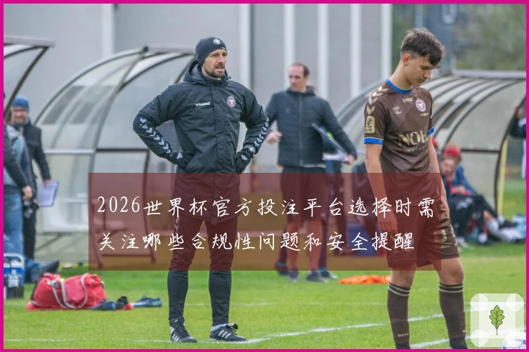 2026世界杯官方投注平台选择时需关注哪些合规性问题和安全提醒