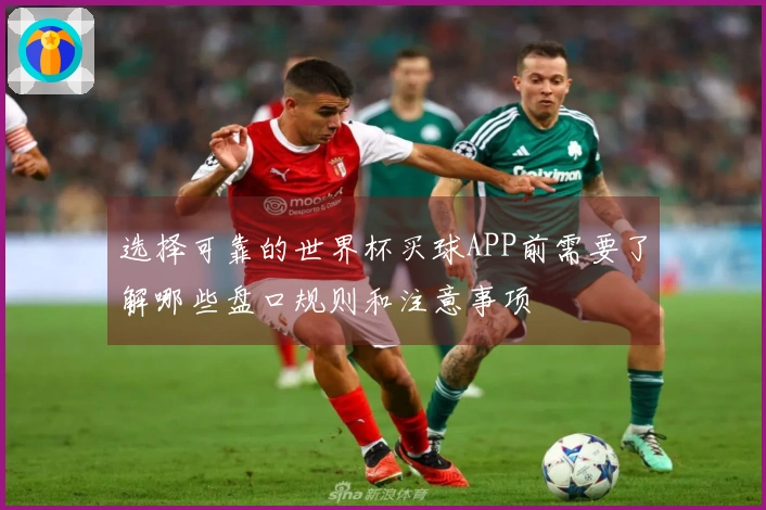 选择可靠的世界杯买球APP前需要了解哪些盘口规则和注意事项